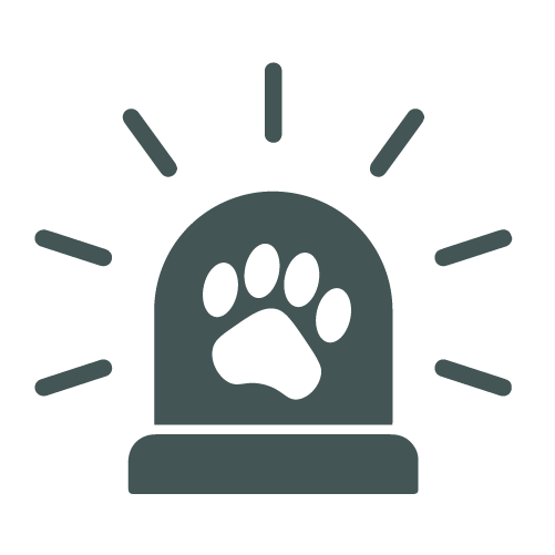 Emergency Care Icon