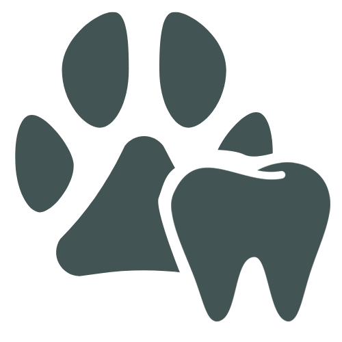 Pet dental icon